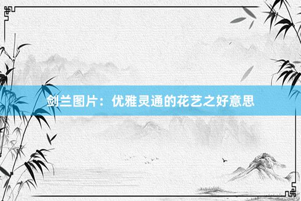 剑兰图片：优雅灵通的花艺之好意思