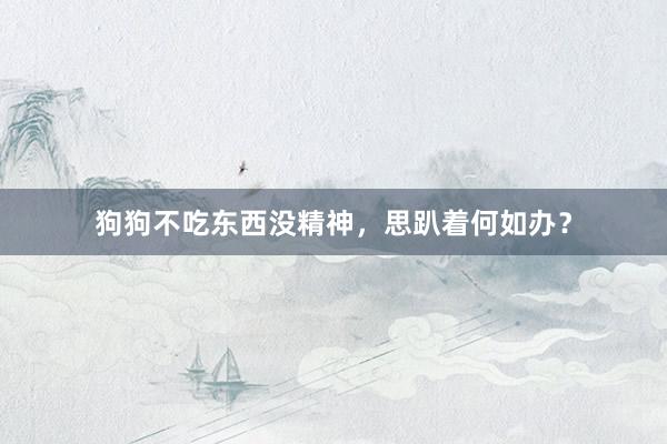 狗狗不吃东西没精神，思趴着何如办？